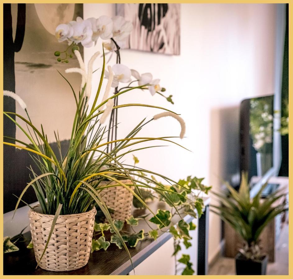 Appartement T3 I Cozy I דובן מראה חיצוני תמונה